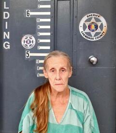 Mugshot of BOYD, FAYE