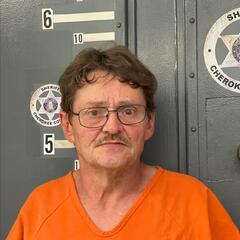 Mugshot of GADDISON, STEPHEN  