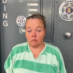 Mugshot of ABERNATHY, LAURISSA