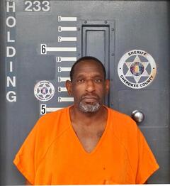 Mugshot of WRIGHT, TERRY