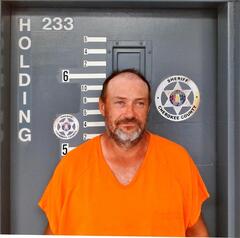 Mugshot of COBB, BRANDY