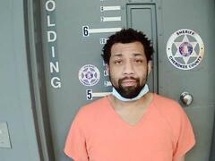 Mugshot of BIRGANS, KELVIN