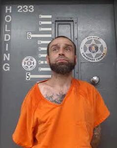 Mugshot of CLARK, JAMES
