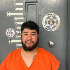Mugshot of REYNALDO, PEREZSALAISES  