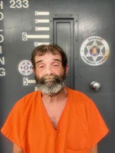 Mugshot of SALMON, STEVE