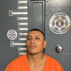 Mugshot of MORALES, JORGE