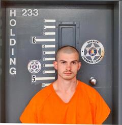 Mugshot of DOWNEY, JERRY