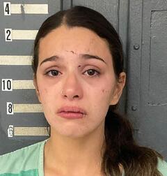 Mugshot of MALIN, ANNA