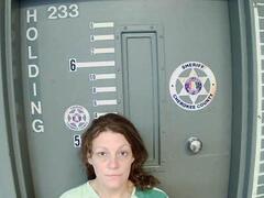 Mugshot of TURNER, AMIE