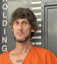 Mugshot of NICHOLSON, JASON