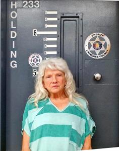 Mugshot of WOOD, DEBRA