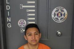Mugshot of REYES, LOPEZ
