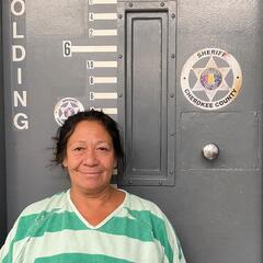 Mugshot of WADE, VERONICA