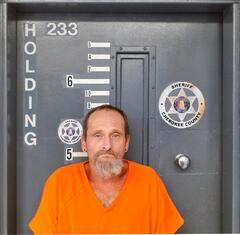 Mugshot of WADE, SCOTT