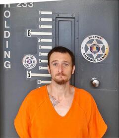 Mugshot of MULLINS, JOEY