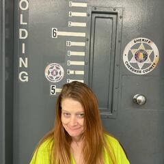 Mugshot of HARTLINE, TINA