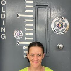 Mugshot of TIDWELL, ALISHA