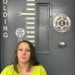 Mugshot of HOPKINS, SASHA