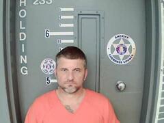 Mugshot of STEPHENS, TRACY