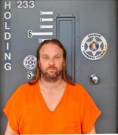 Mugshot of MITCHELL, DONALD