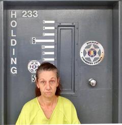 Mugshot of BICE, ANGELA