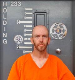 Mugshot of NEESE, RICHARD